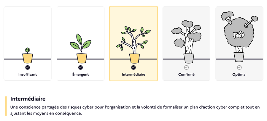 Carte de maturité ANSSI CYBER