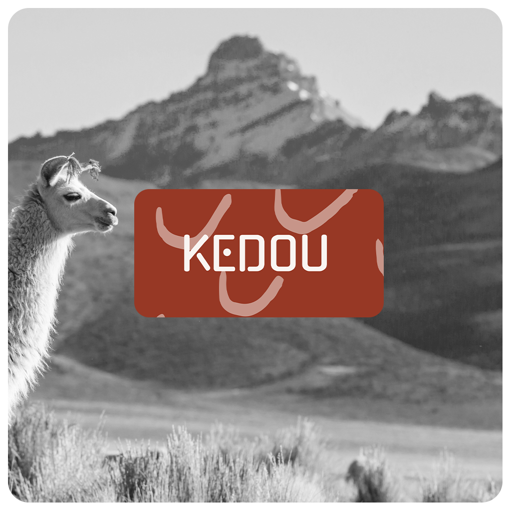 Logo de l'entreprise kedou